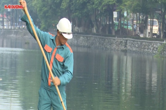 Giúp sông Sặt thêm xanh